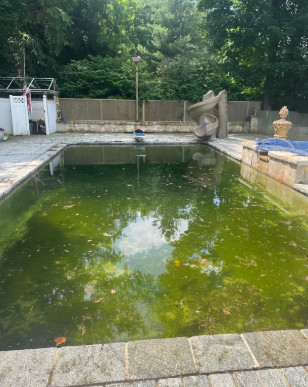 Green Pool Clean Up