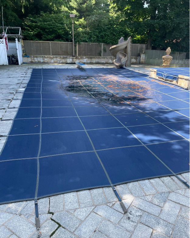 Pool Opening
