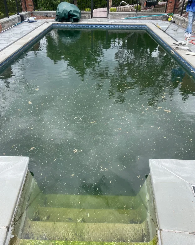Green Pool Clean Up