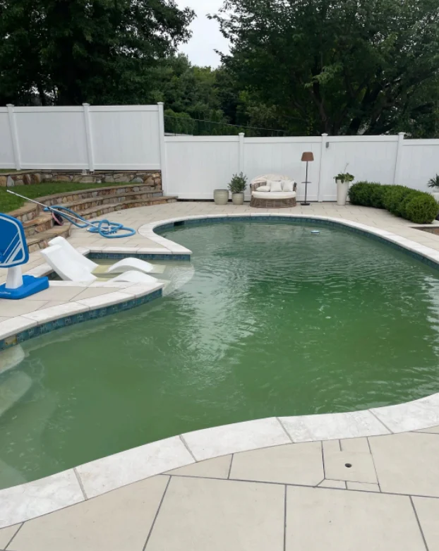 Green Pool Clean Up