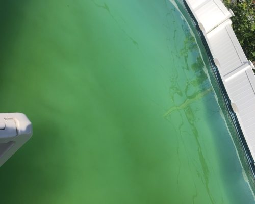 Green clean